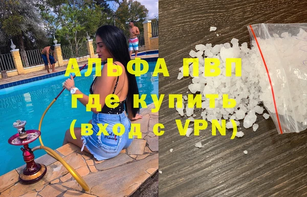 ПСИЛОЦИБИНОВЫЕ ГРИБЫ Новозыбков