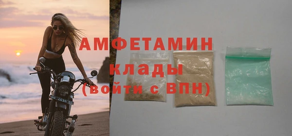 ПСИЛОЦИБИНОВЫЕ ГРИБЫ Новозыбков