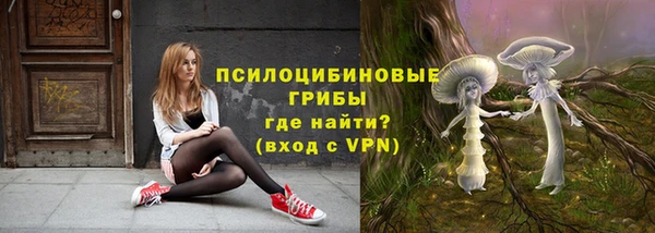 герыч Новокубанск