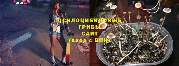 apvp Нефтегорск