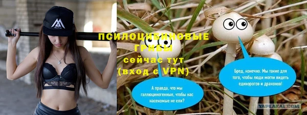 mix Новодвинск