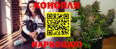 гидра Волгодонск