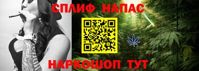 индика Гусиноозёрск