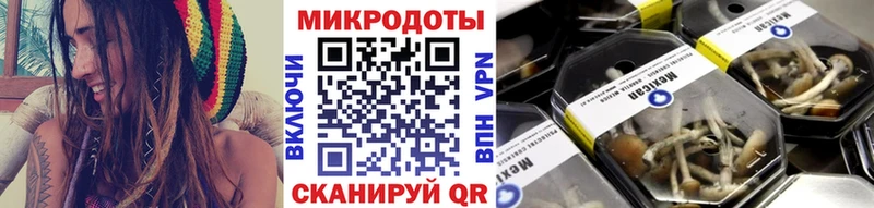 купить наркотик  это официальный сайт  Псилоцибиновые грибы мухоморы  Зеленодольск 