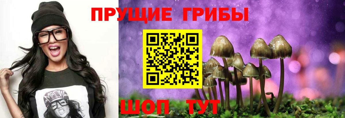 Галлюциногенные грибы прущие грибы  Галлюциногенные грибы мухоморы  Вход с VPN  Зеленодольск 